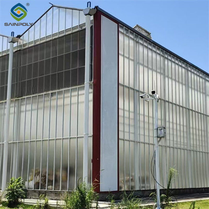 Automated Ventilation Venlo Type Greenhouse Polycarbonate Green House Energy Efficient