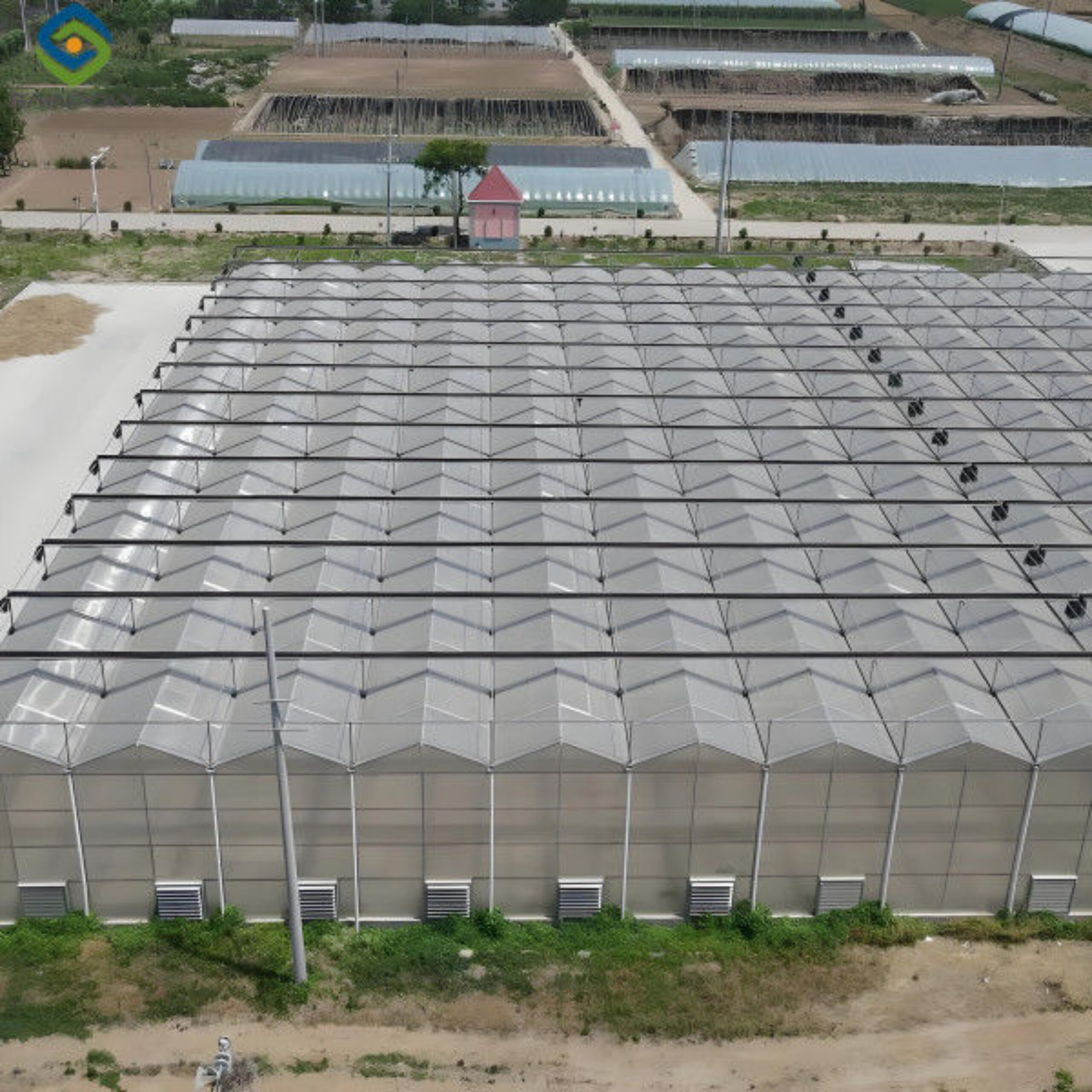 Automated Ventilation Venlo Type Greenhouse Polycarbonate Green House Energy Efficient