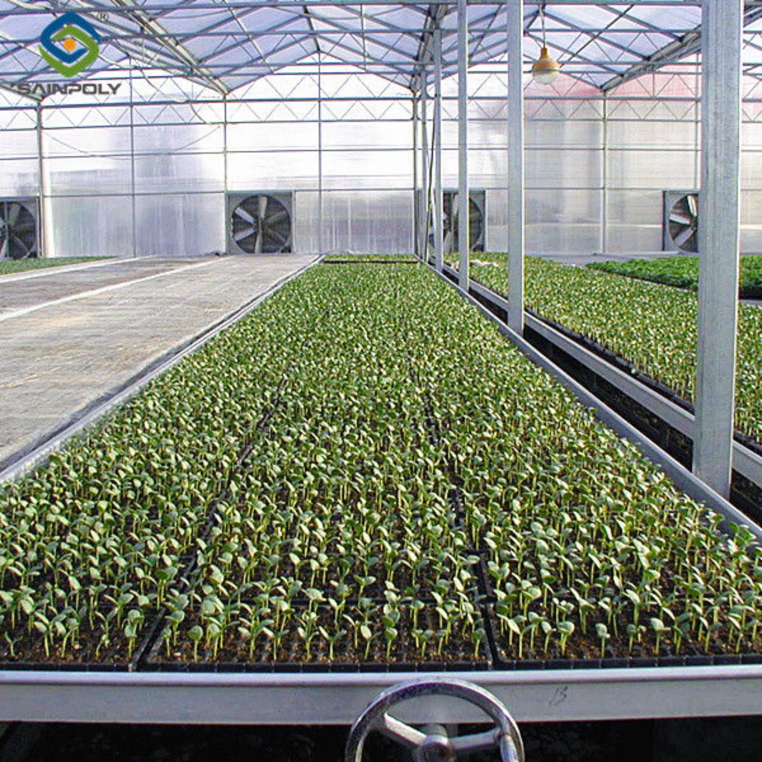Automated Ventilation Venlo Type Greenhouse Polycarbonate Green House Energy Efficient