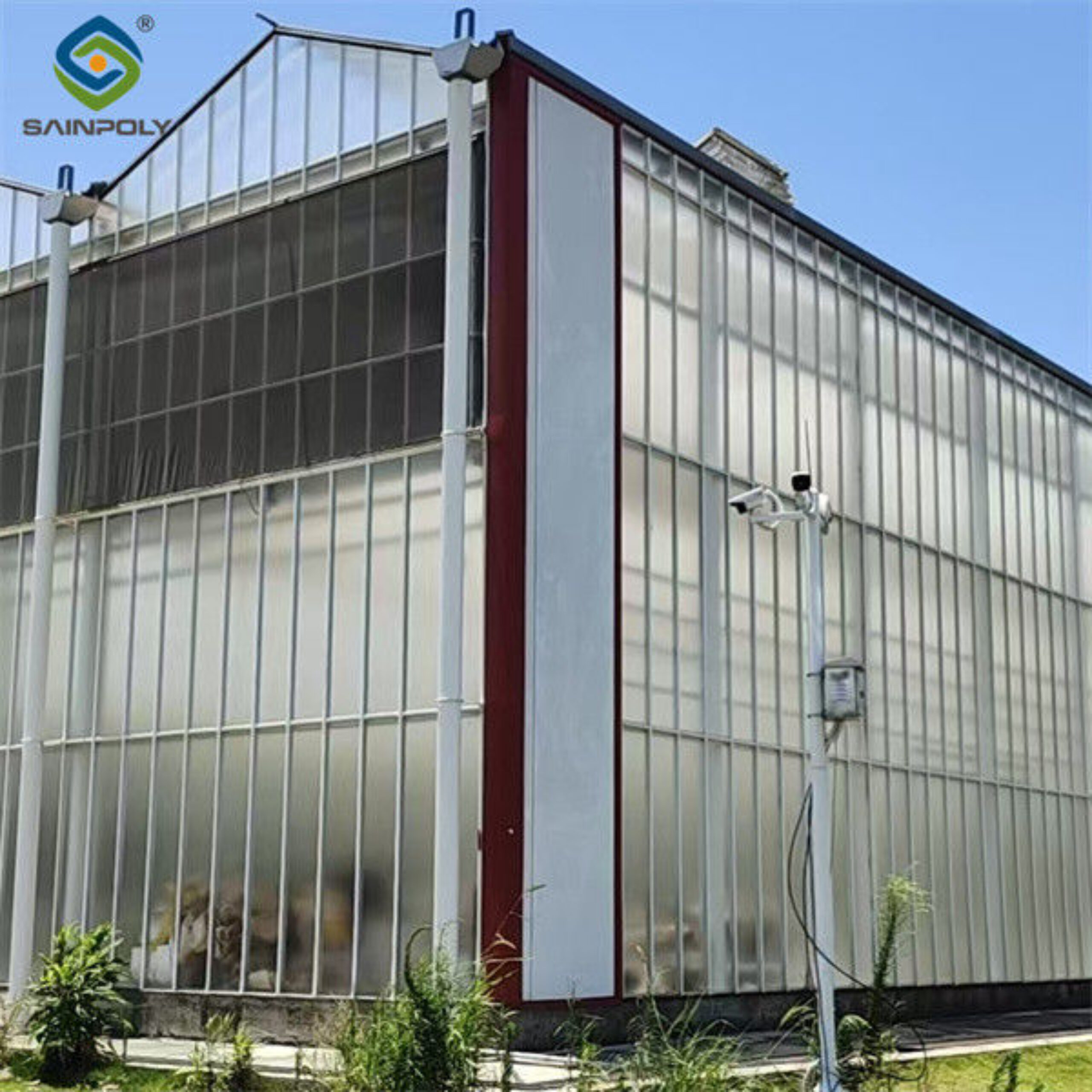 Automated Ventilation Venlo Type Greenhouse Polycarbonate Green House Energy Efficient
