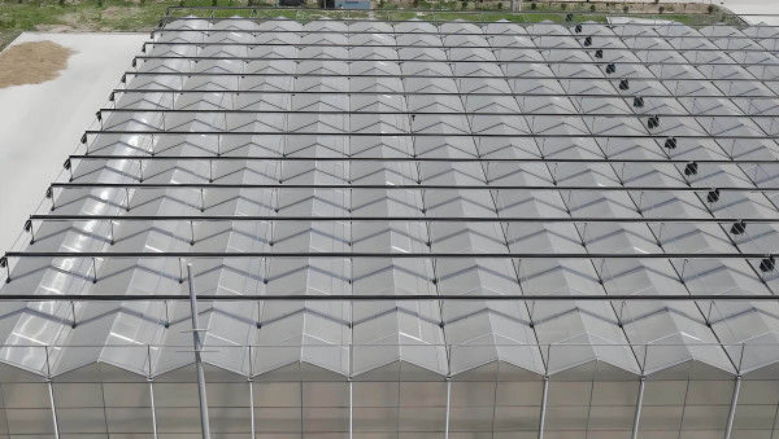 Automated Ventilation Venlo Type Greenhouse Polycarbonate Green House Energy Efficient