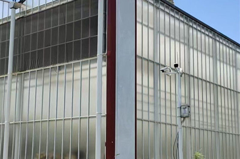 Automated Ventilation Venlo Type Greenhouse Polycarbonate Green House Energy Efficient