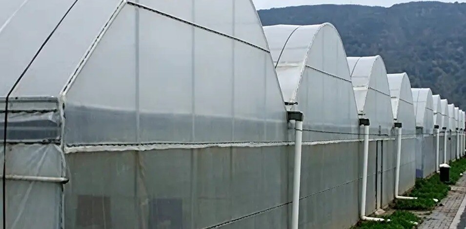 Commercial Greenhouse project layout