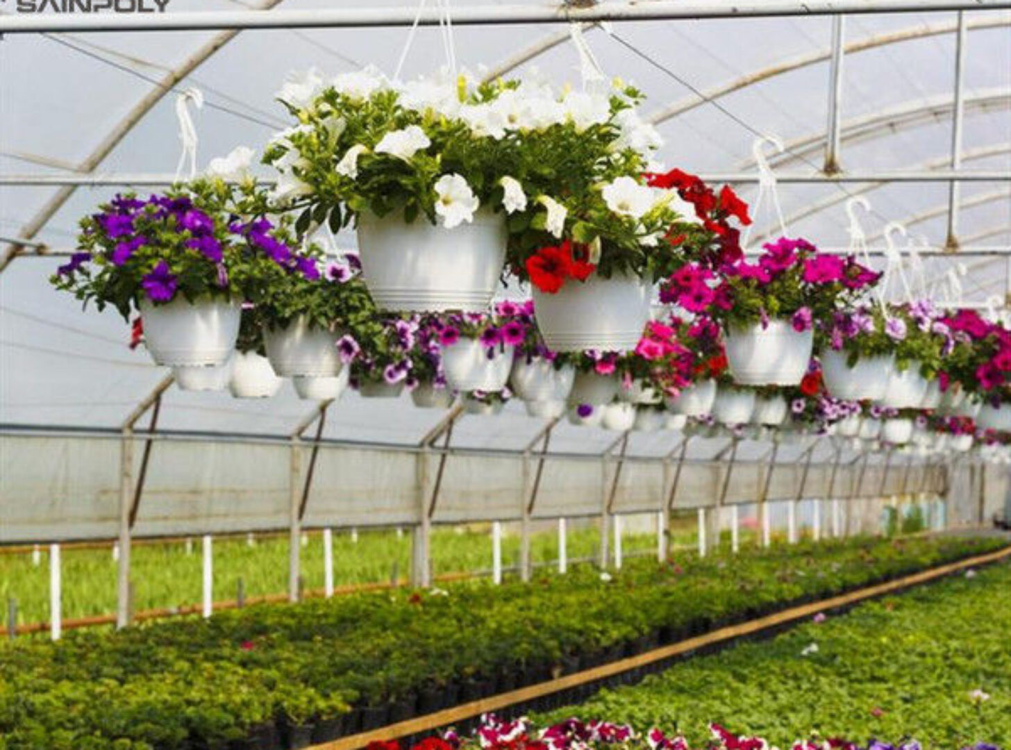 Commercial 4 Season Greenhouse Flower Planting Greenhouse UV Resistant