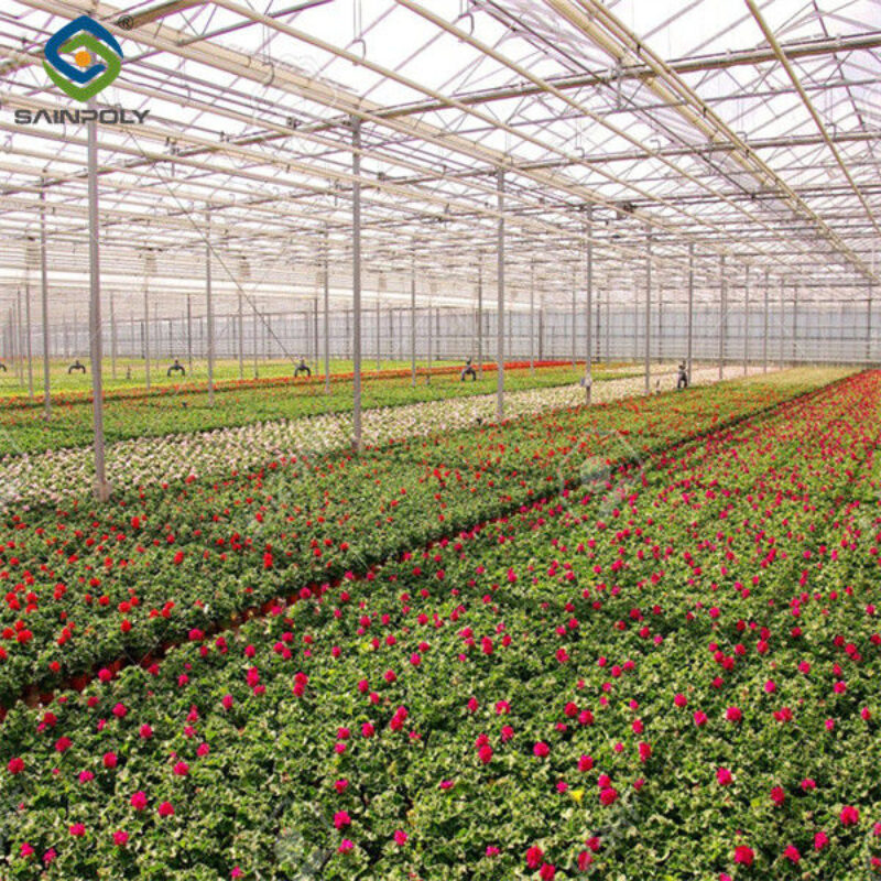 Commercial Agricultural Flower Green Houses For Planting