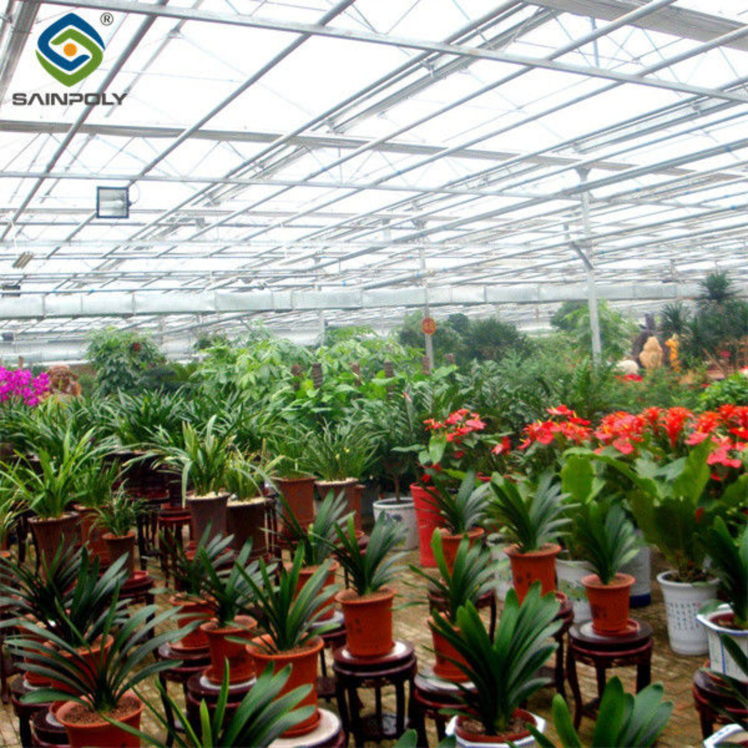 Commercial Agricultural Flower Green Houses For Planting