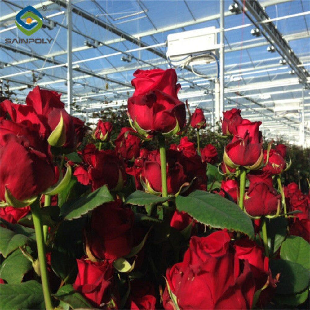 Commercial Agricultural Flower Green Houses For Planting
