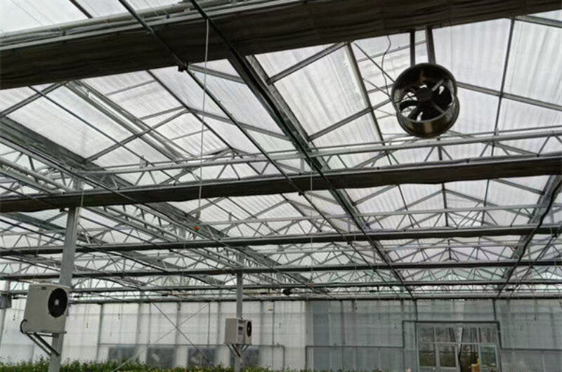 Commercial Agricultural Flower Green Houses For Planting