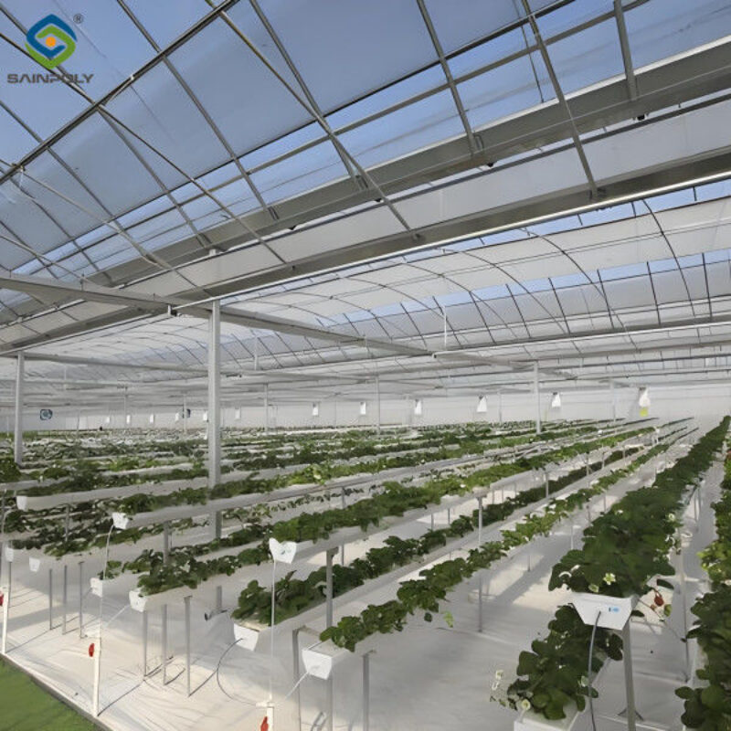 Commercial Agriculture Multi Span Poly Film Greenhouse Transparent Wind Resistance