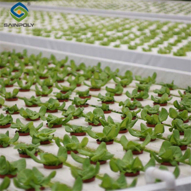 Commercial Hydroponic Greenhouse For Agriculture Anti Corrosion