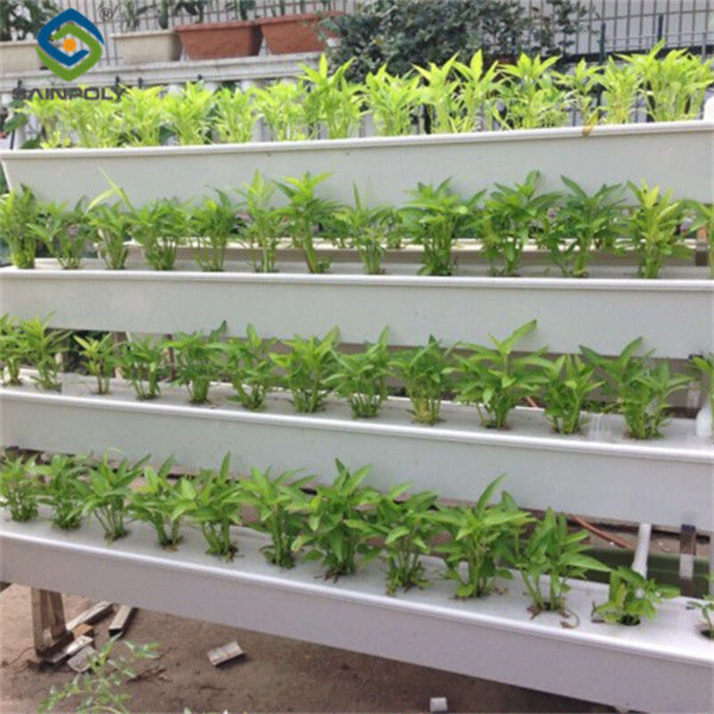 Commercial Hydroponic Greenhouse For Agriculture Anti Corrosion