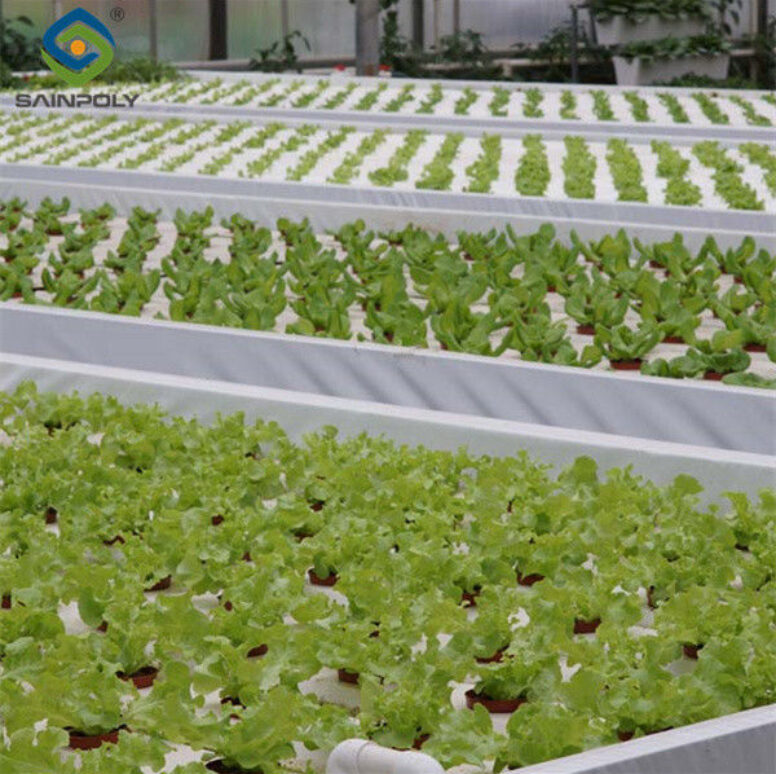 Commercial Hydroponic Greenhouse For Agriculture Anti Corrosion
