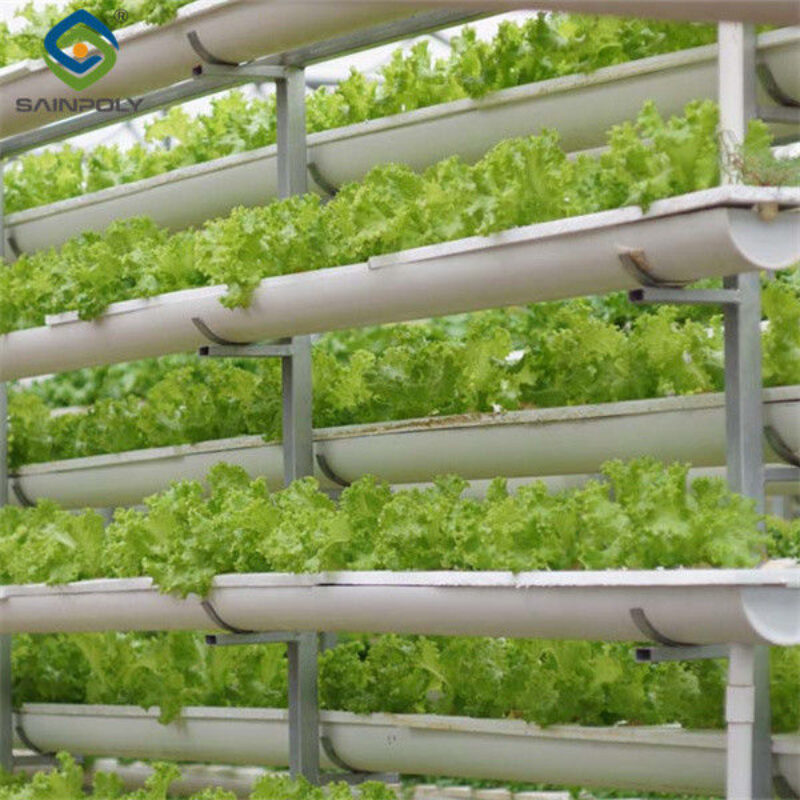 Commercial Hydroponic Greenhouse For Plant Growing Lettuce