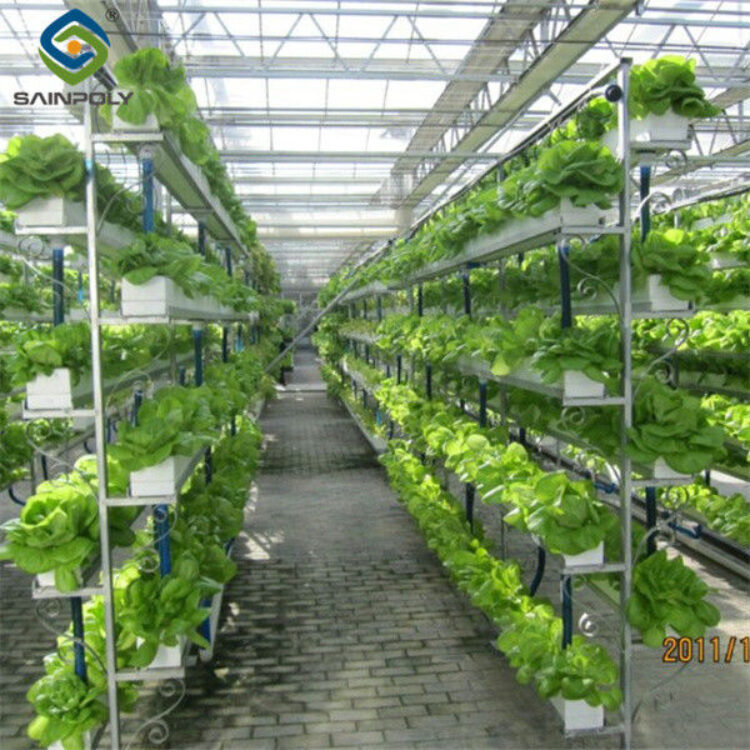 Commercial Hydroponic Greenhouse For Plant Growing Lettuce