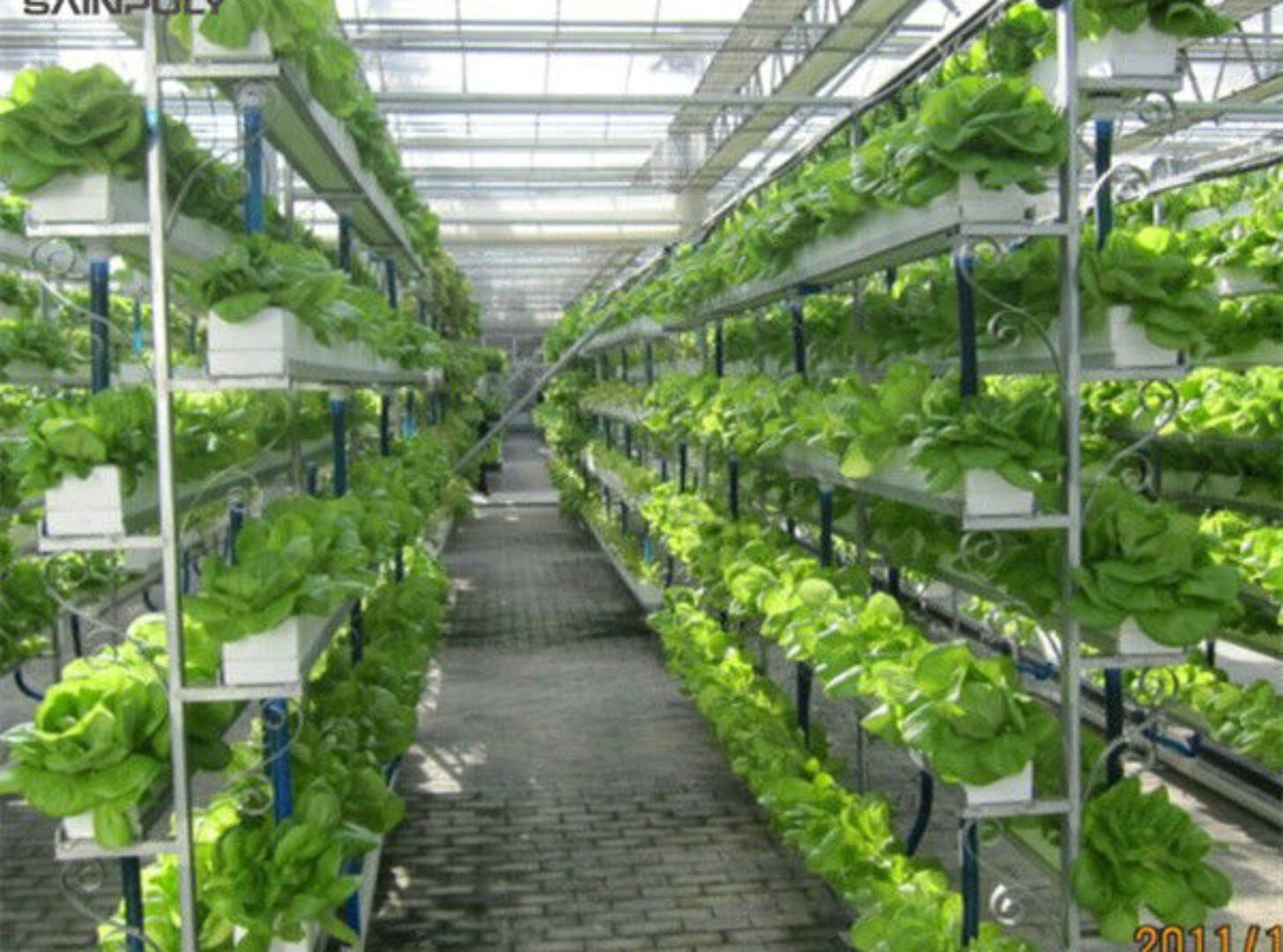 Commercial Hydroponic Greenhouse For Plant Growing Lettuce