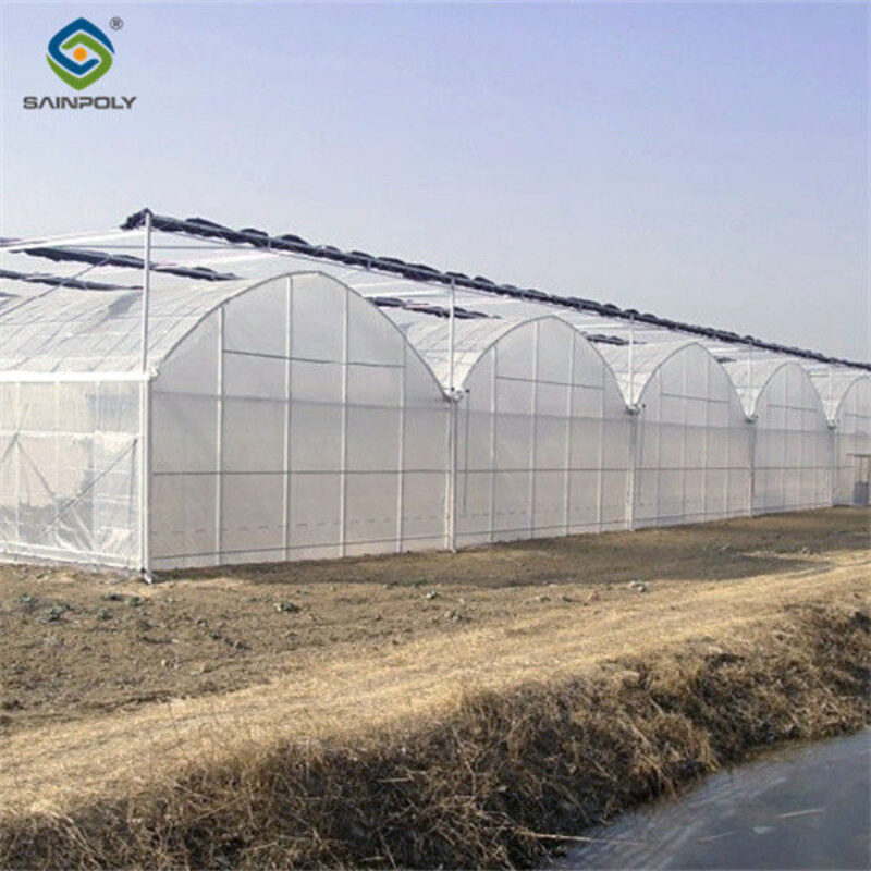 Commercial Intelligent Greenhouse Continuous Skeleton Vegetable Greenhouse