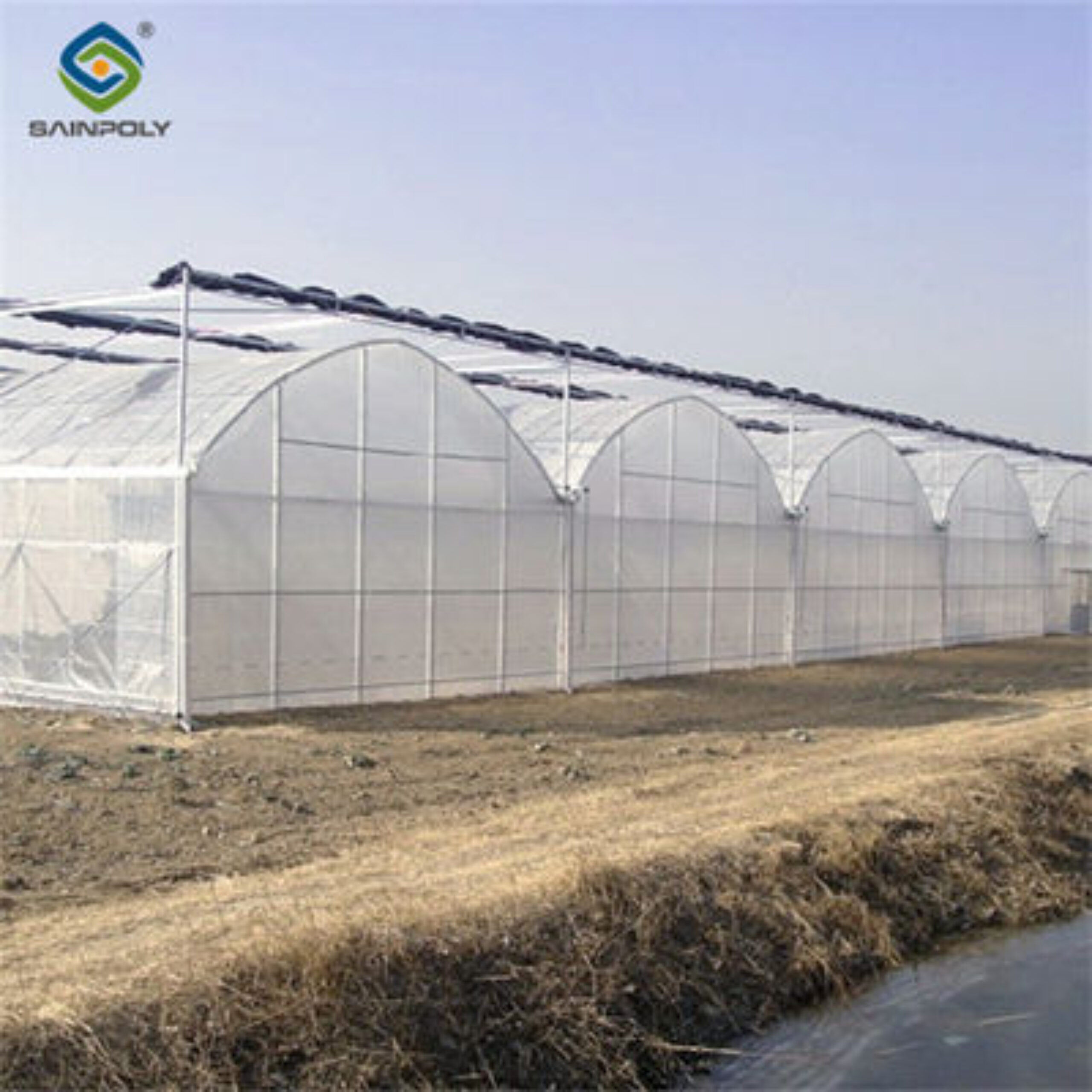 Commercial Intelligent Greenhouse Continuous Skeleton Vegetable Greenhouse