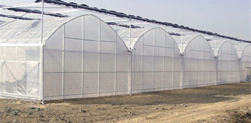 Commercial Greenhouse structure and growing equipment options
