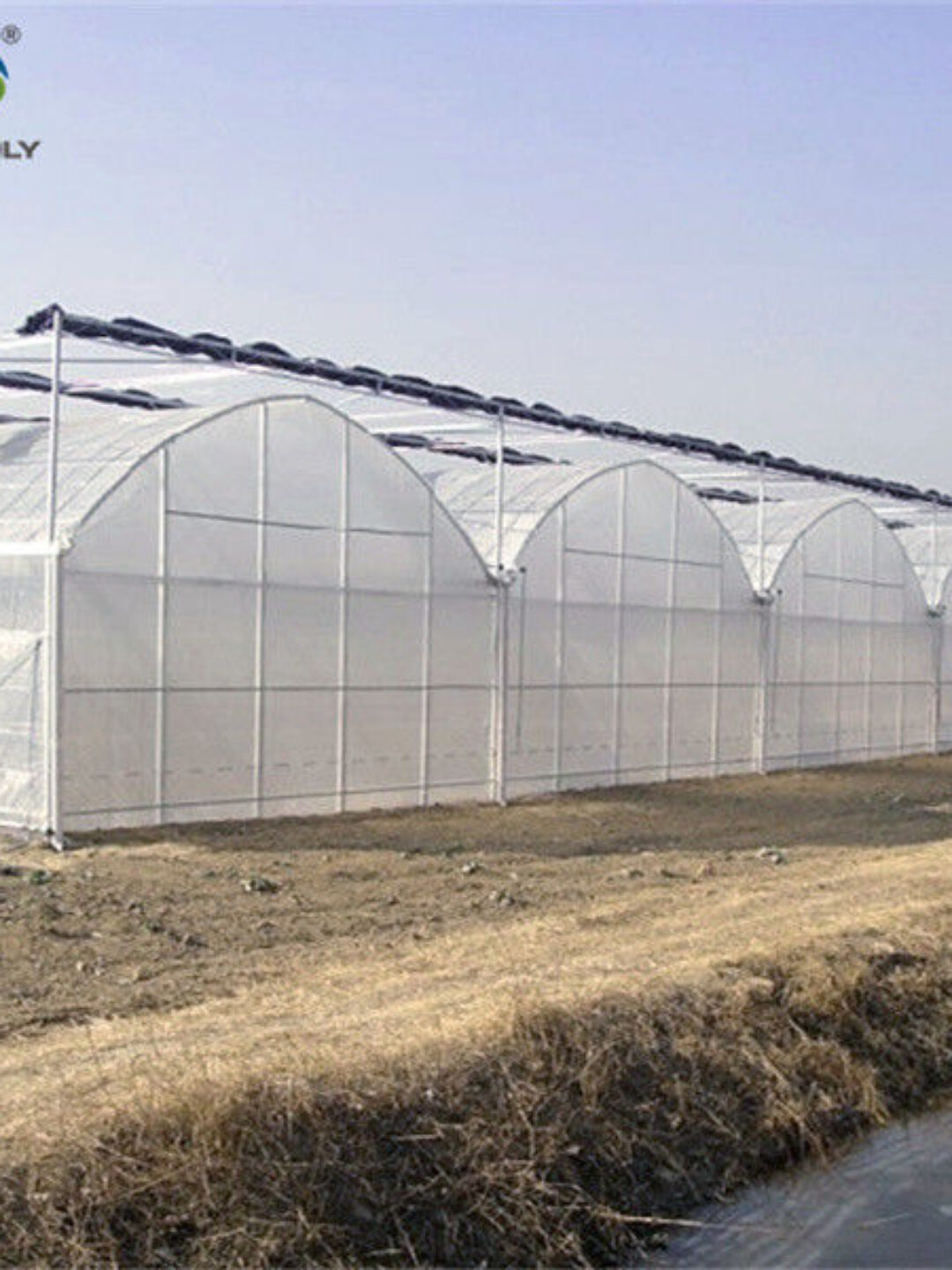 Commercial Intelligent Greenhouse Continuous Skeleton Vegetable Greenhouse
