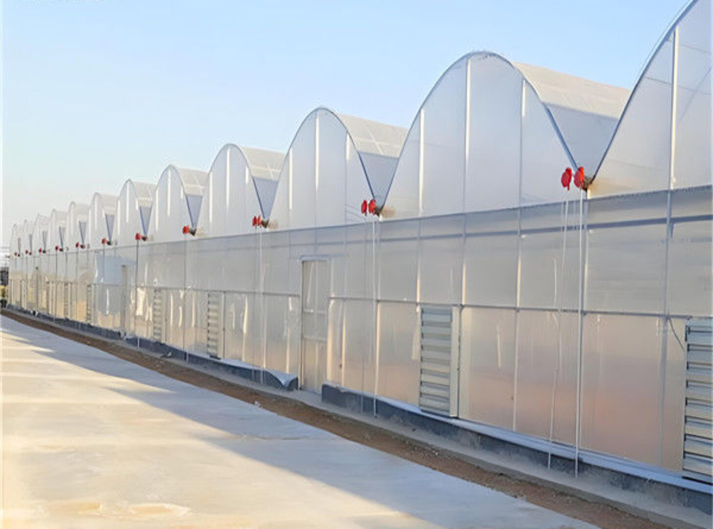 Commercial Intelligent Greenhouse Continuous Skeleton Vegetable Greenhouse