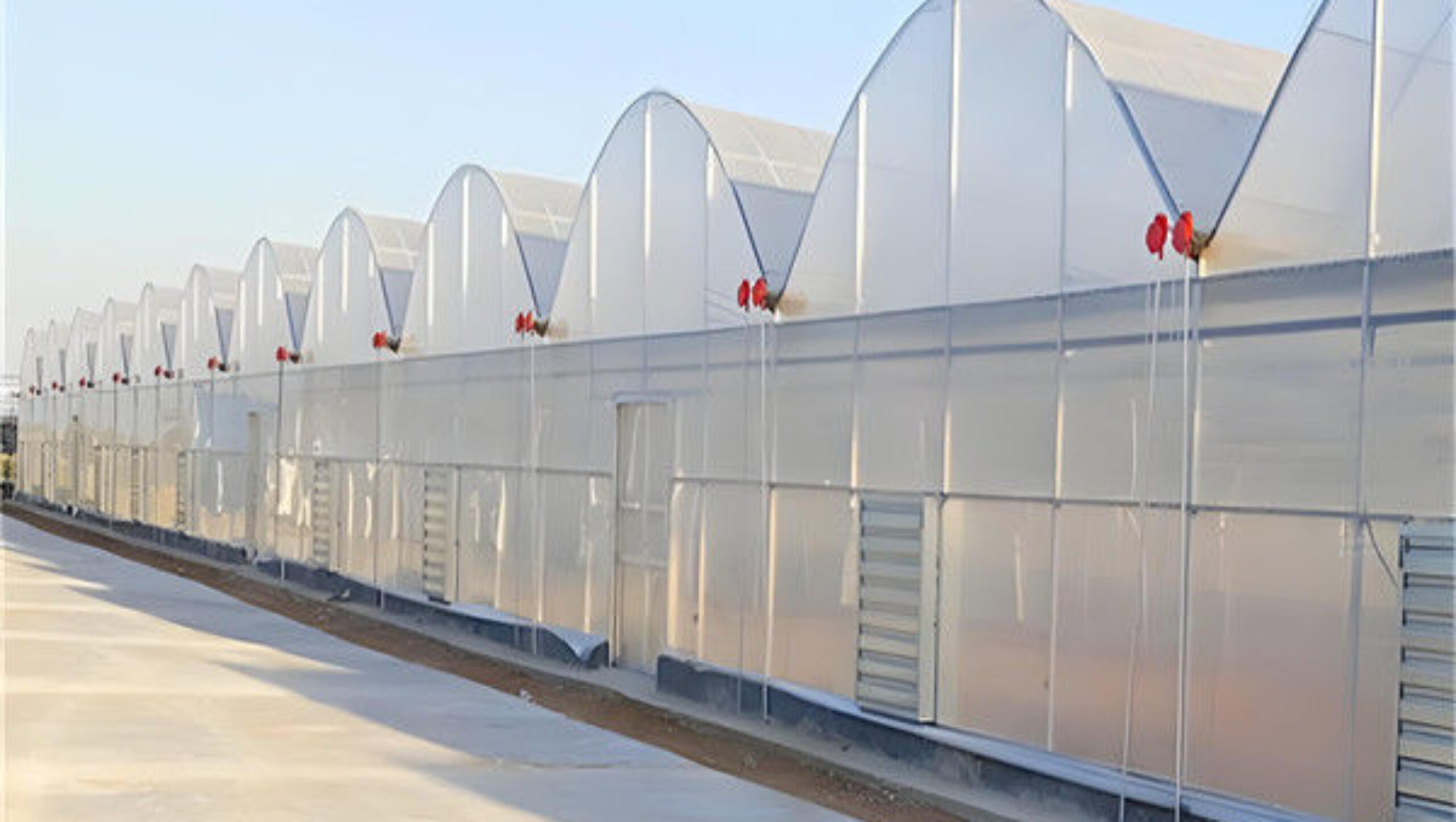 Commercial Intelligent Greenhouse Continuous Skeleton Vegetable Greenhouse