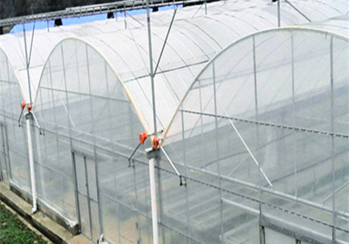 Commercial Intelligent Greenhouse Continuous Skeleton Vegetable Greenhouse