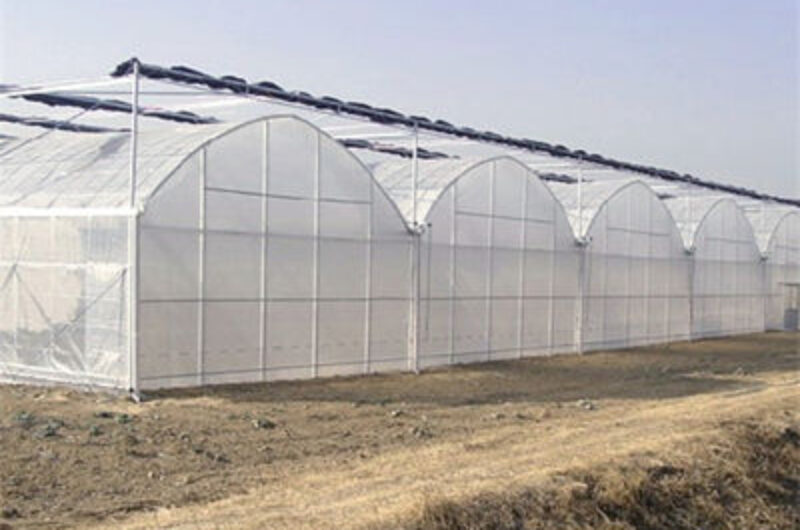 Commercial Intelligent Greenhouse Continuous Skeleton Vegetable Greenhouse