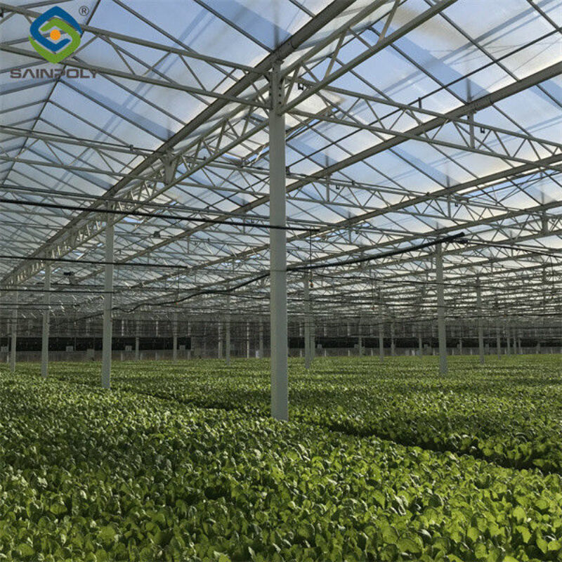 Commercial Lettuce Farm NFT Greenhouse With Galvanized Frame 1.6-1.8m Height