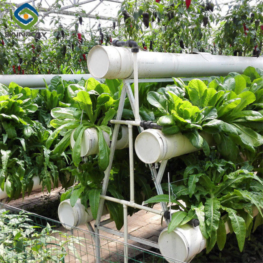 Commercial Lettuce Farm NFT Greenhouse With Galvanized Frame 1.6-1.8m Height