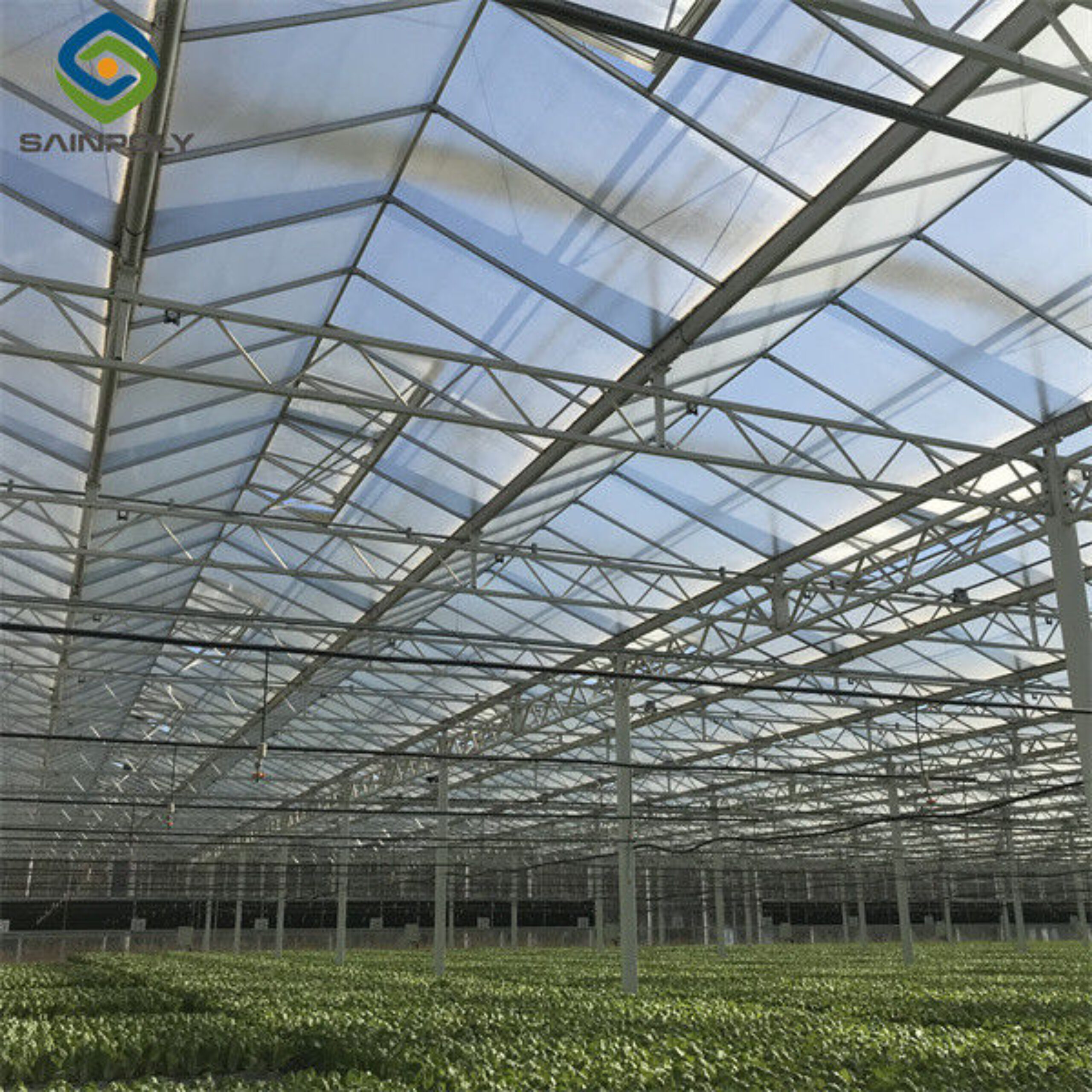 Commercial Lettuce Greenhouse Low Maintenance Weather Resistant