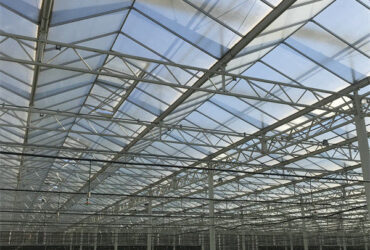 Commercial Lettuce Greenhouse Low Maintenance Weather Resistant