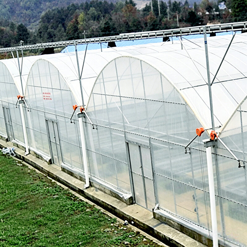 Commercial Multi-Span Greenhouse for Global Growing Projects