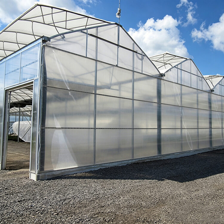 Commercial Multi-Span Greenhouse for Global Growing Projects