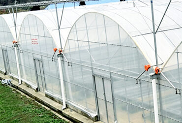 Commercial Multi-Span Greenhouse for Global Growing Projects