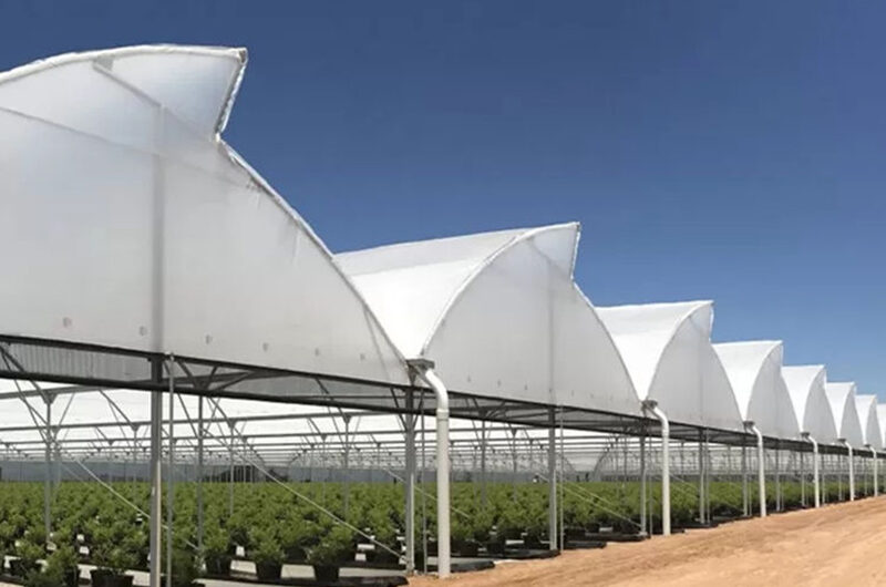 Commercial Multi-Span Greenhouse for Global Growing Projects