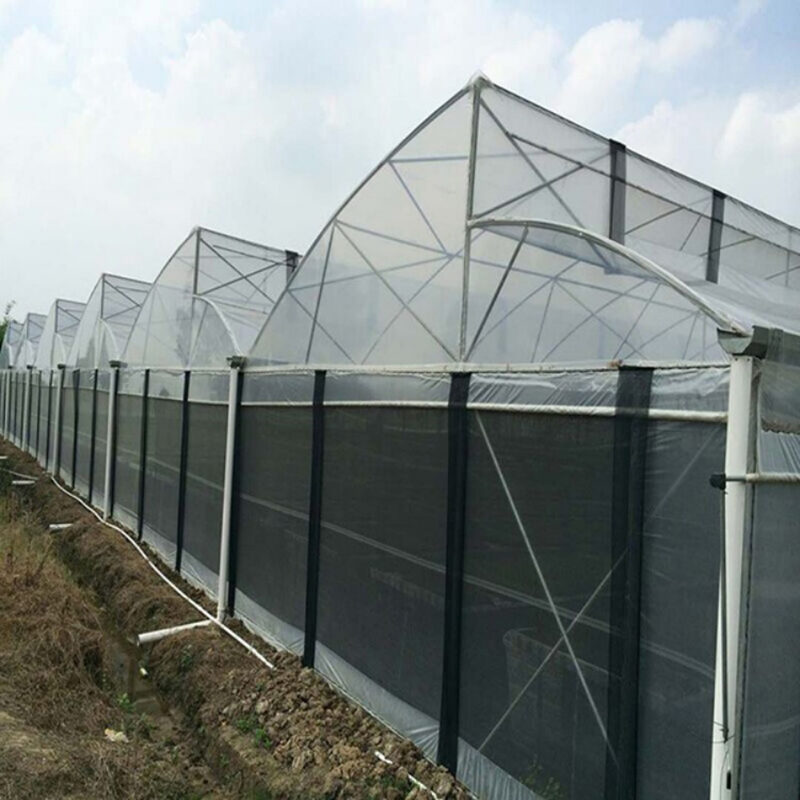 Commercial Sawtooth Greenhouse with Integrated Growing Systems