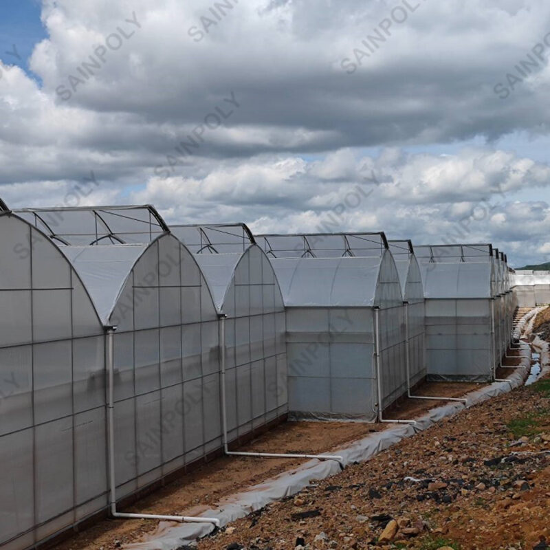 Commercial Sawtooth Greenhouse with Integrated Growing Systems