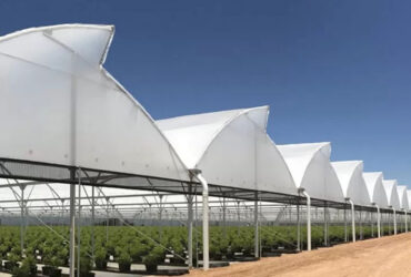 Commercial Sawtooth Greenhouse with Integrated Growing Systems