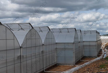 Commercial Sawtooth Greenhouse with Integrated Growing Systems