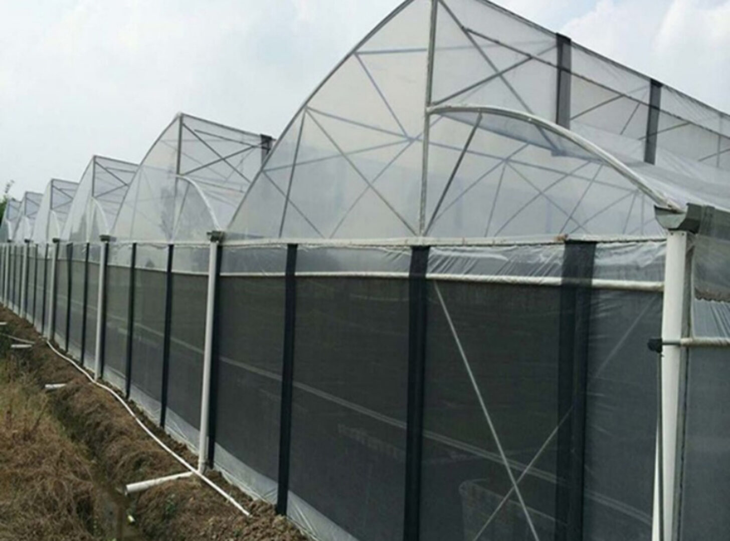 Commercial Sawtooth Greenhouse with Integrated Growing Systems