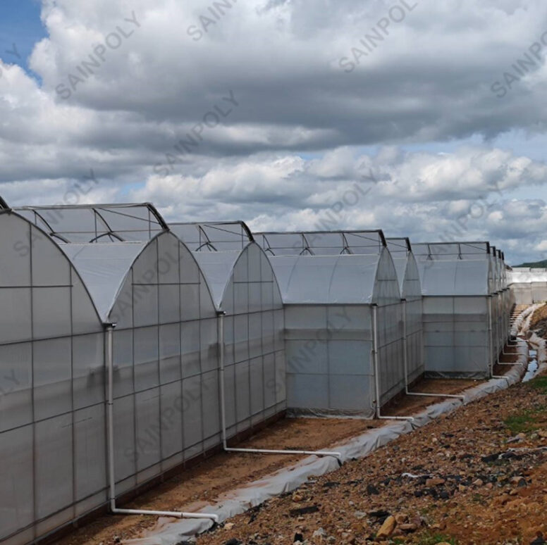 Commercial Sawtooth Greenhouse with Integrated Growing Systems