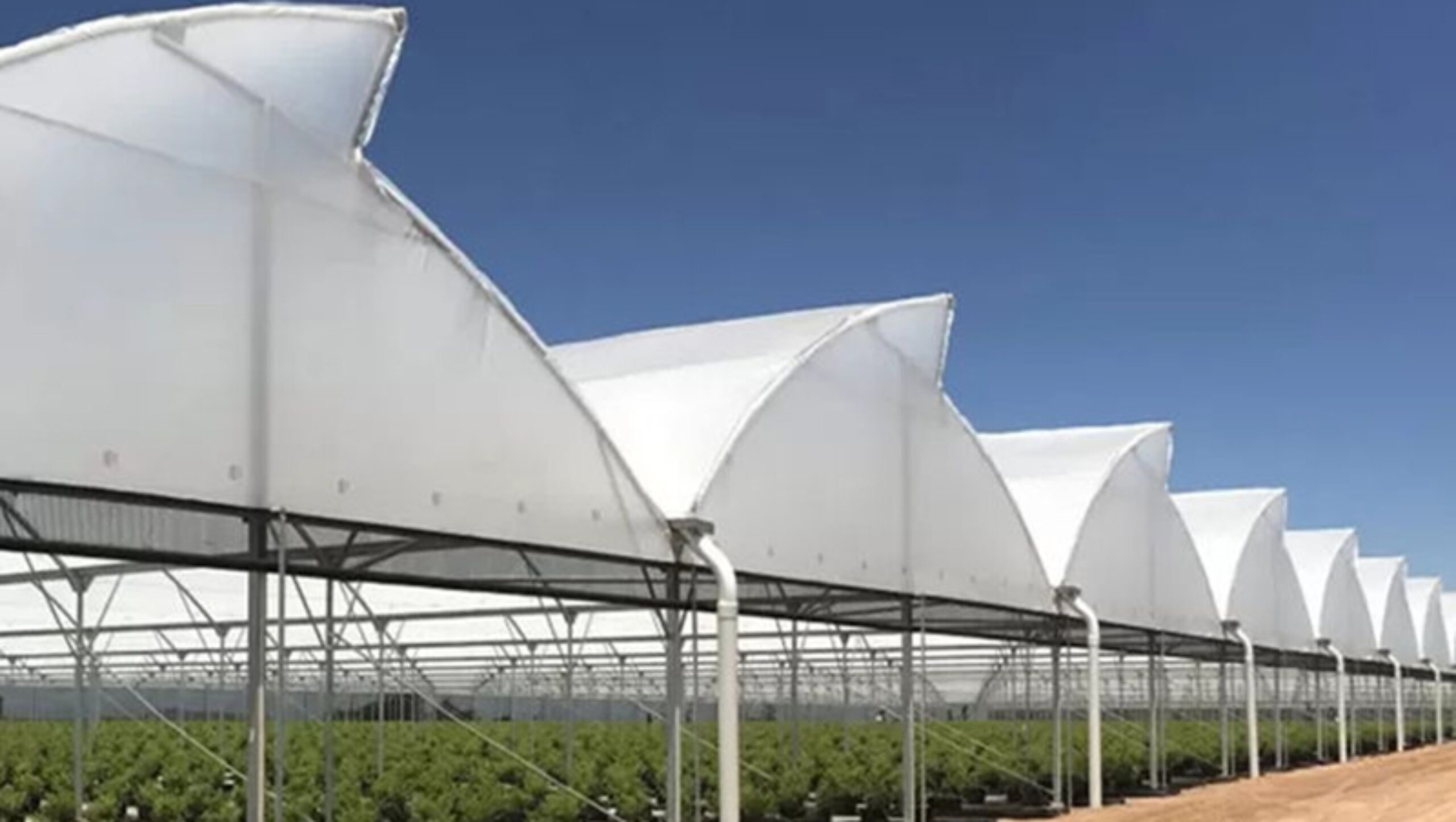 Commercial Sawtooth Greenhouse with Integrated Growing Systems