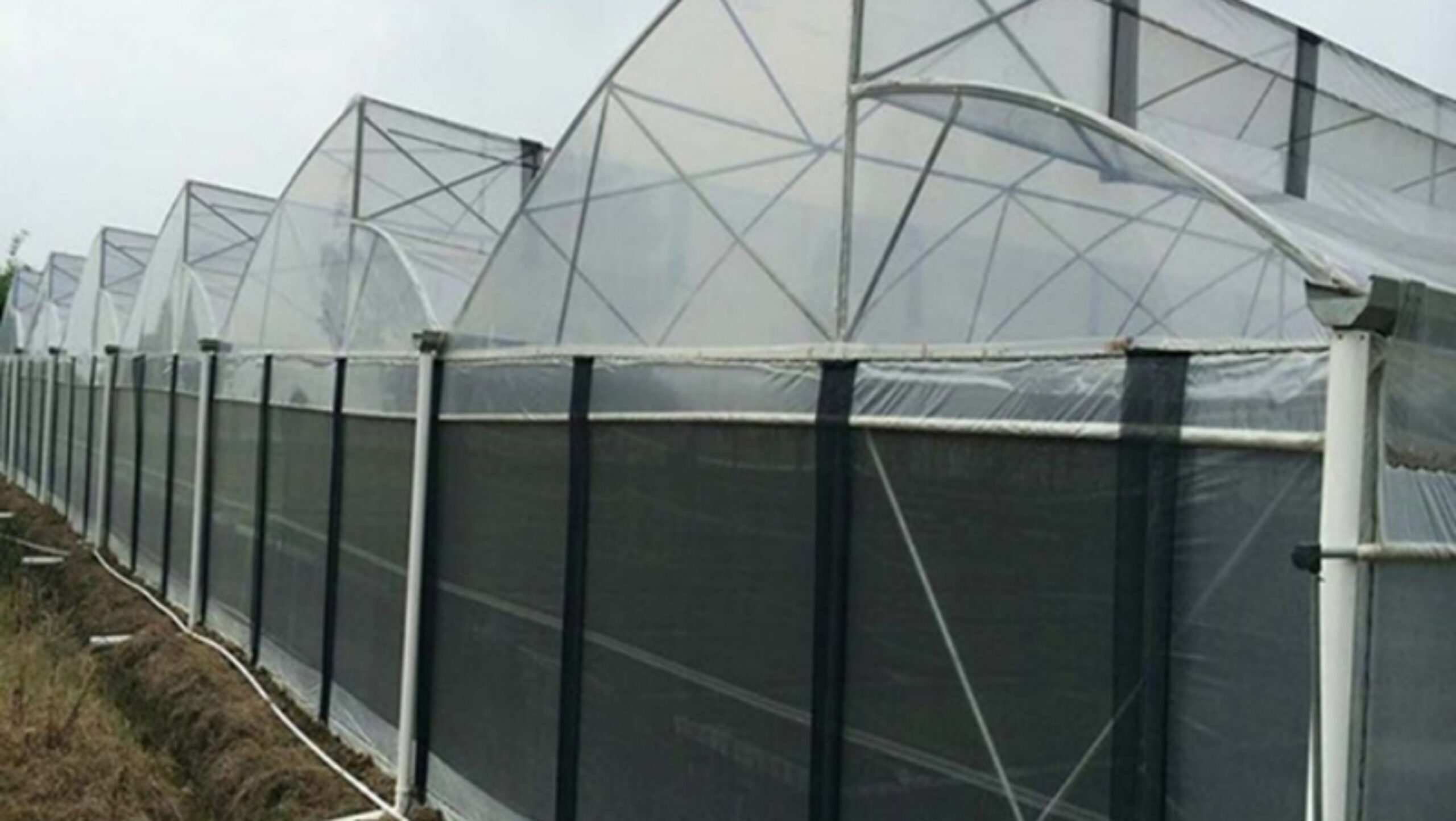 Commercial Sawtooth Greenhouse with Integrated Growing Systems