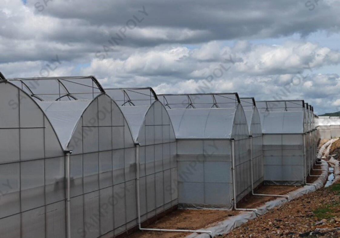 Commercial Sawtooth Greenhouse with Integrated Growing Systems