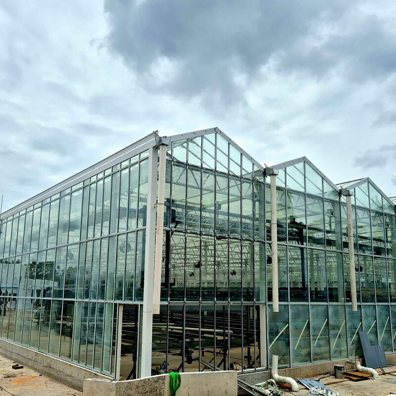commercial Semi-closed greenhouse is suitable for large-scale planting under various harsh weather