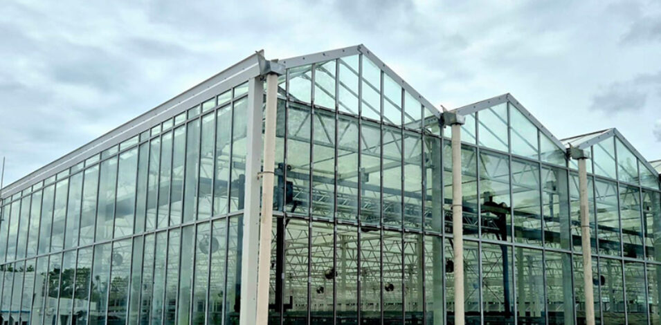 commercial Semi-closed greenhouse is suitable for large-scale planting under various harsh weather