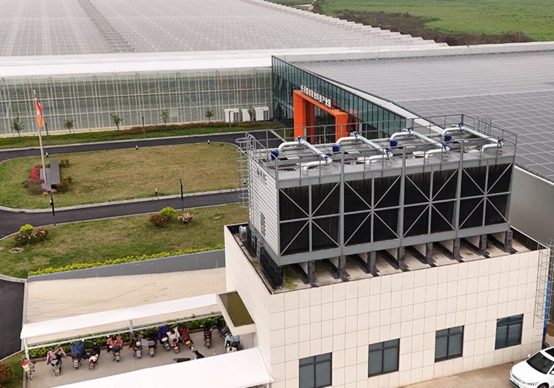commercial Semi-closed greenhouse is suitable for large-scale planting under various harsh weather