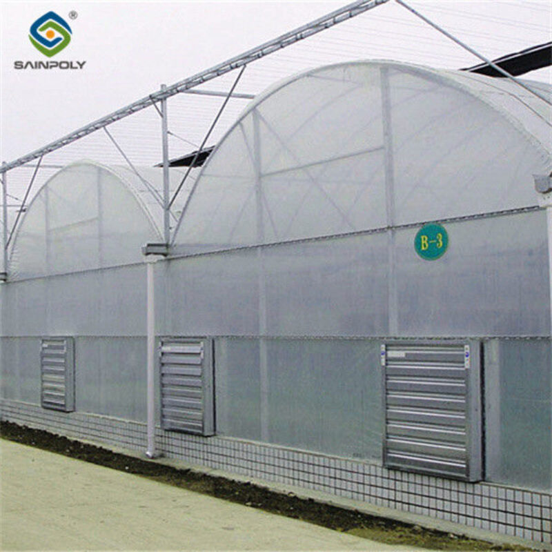 Commercial Size Greenhouse Multispan Greenhouse UV Protection