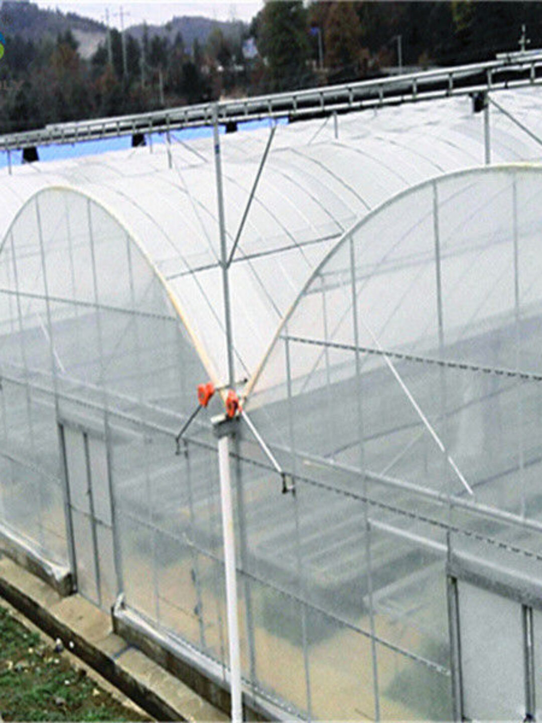 Commercial Size Greenhouse Multispan Greenhouse UV Protection