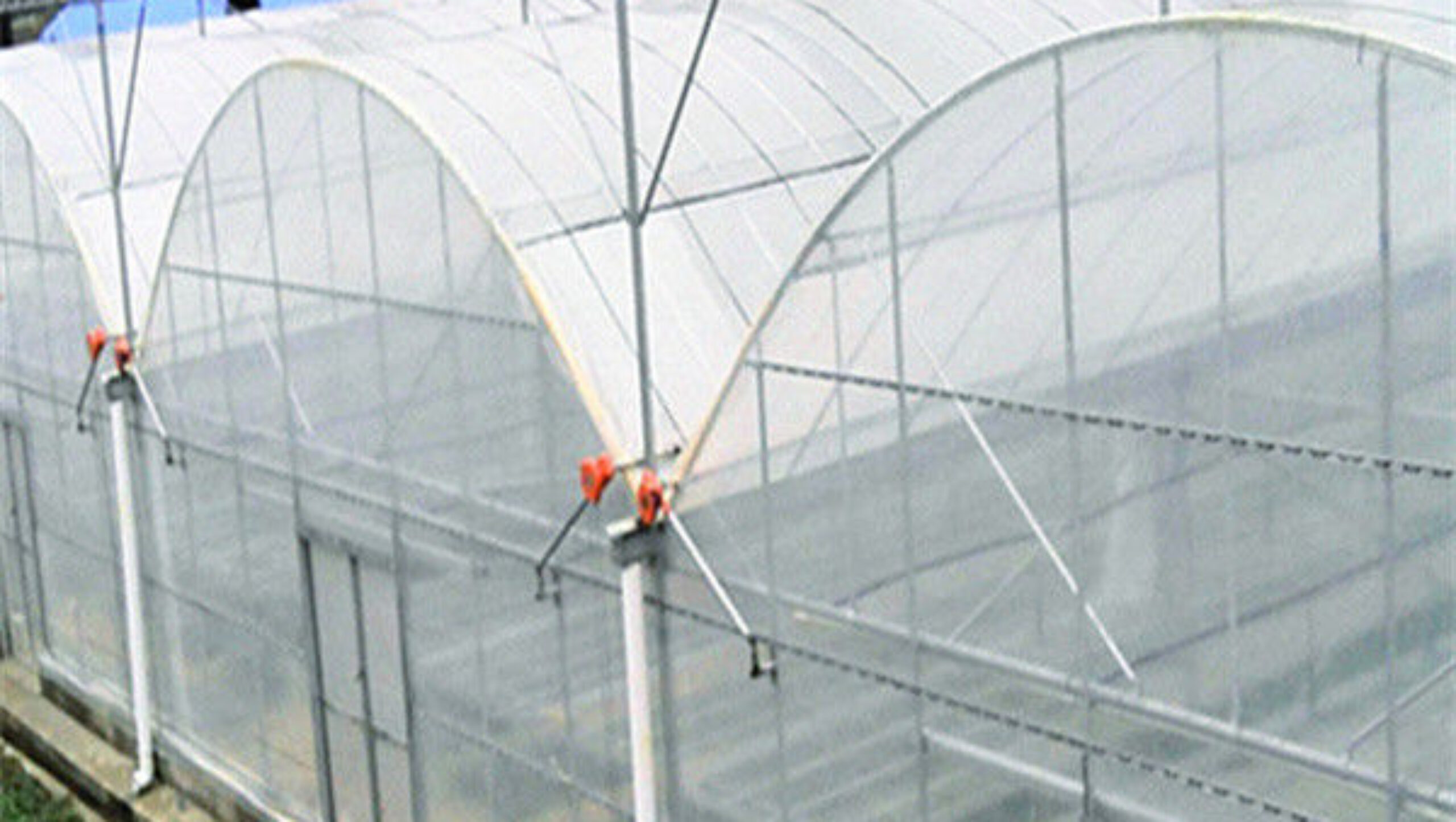 Commercial Size Greenhouse Multispan Greenhouse UV Protection